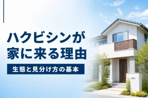 ハクビシンの生態と住宅に侵入する理由