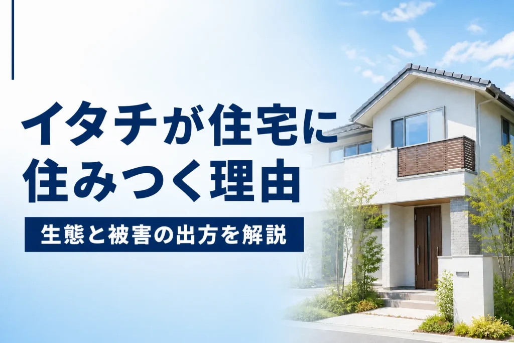 イタチが住宅に住みつく理由