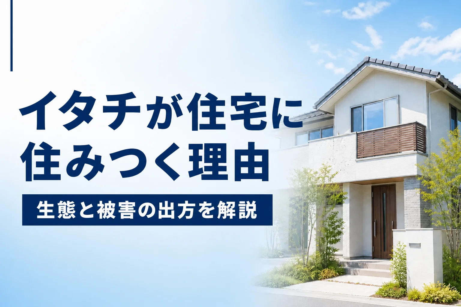 イタチが住宅に住みつく理由