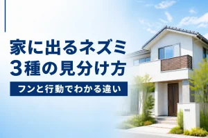 家に出るネズミ3種の見分け方