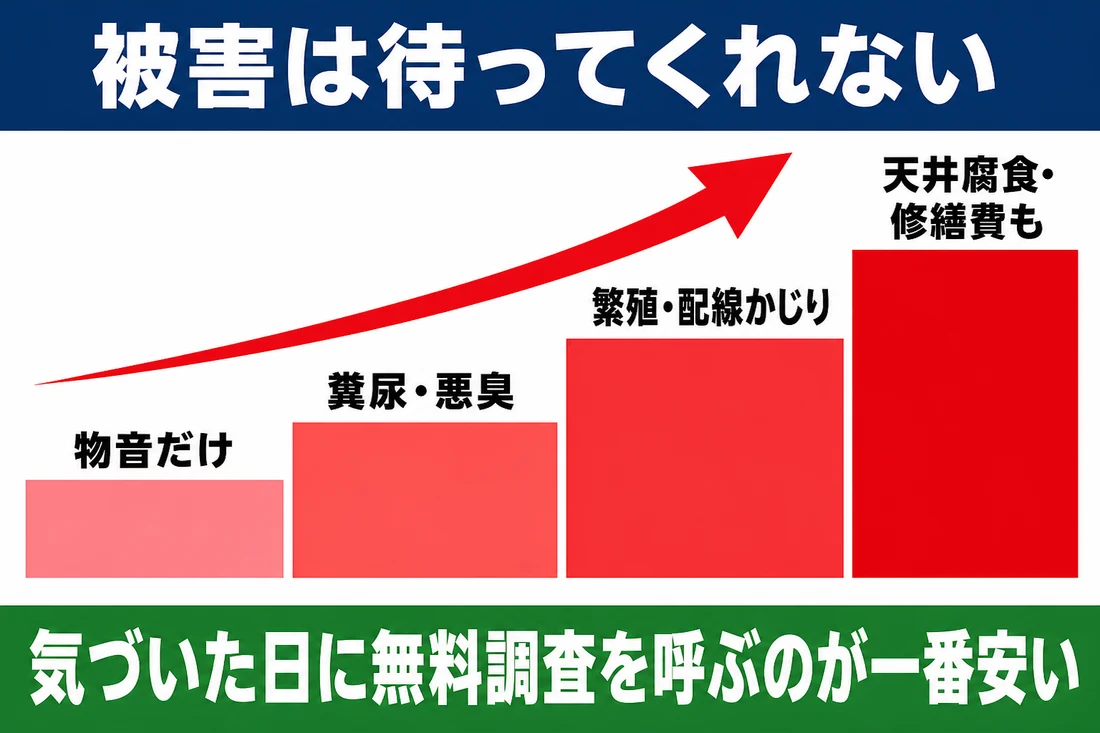 被害は物音だけ→糞尿・悪臭→繁殖・配線かじり→天井腐食・修繕費と段階的に拡大する